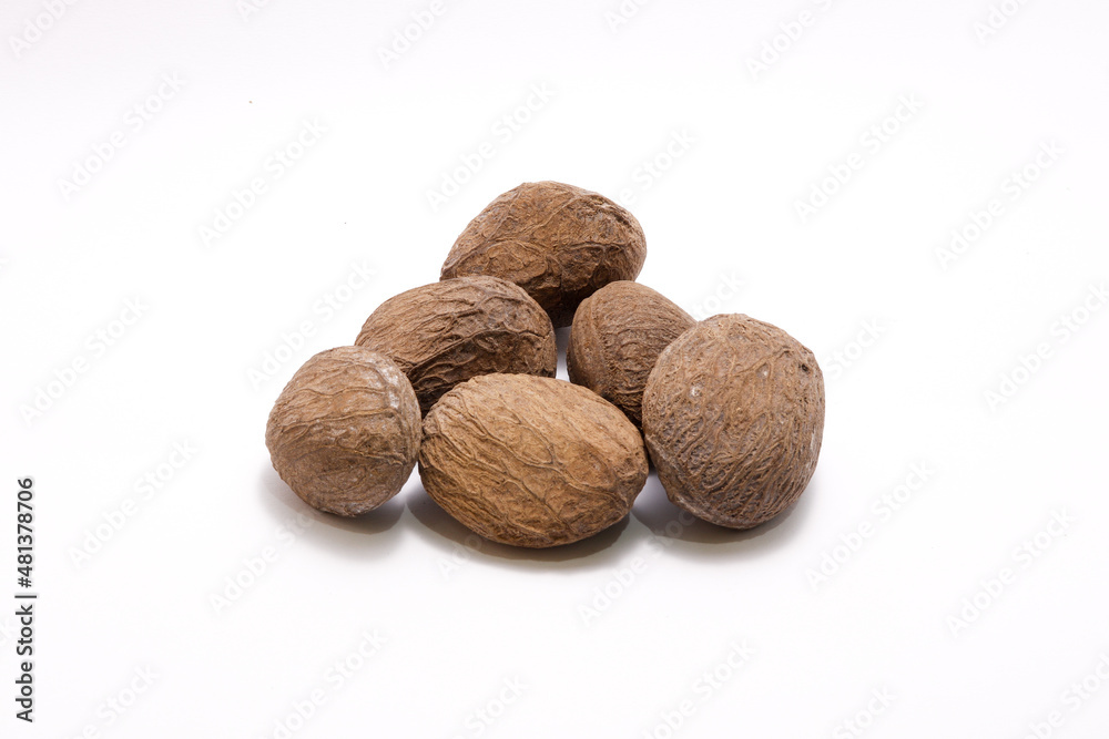 Pangium Edule (Keluak) isolated on white background. Usually used as a condiment for Indonesian cuisine Pangium Edule (Keluak) isolated on white background. Usually used as a condiment for Indonesian cuisine