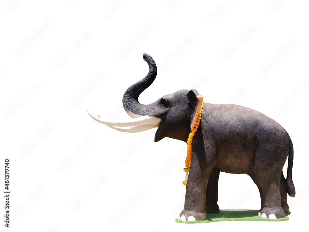 Obraz premium Spinning elephant on a white background with clipping path.