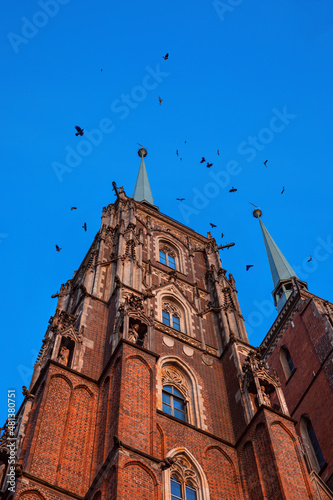 Katedra Wrocław na tle niebieskiego nieba. Ostrów Tumski