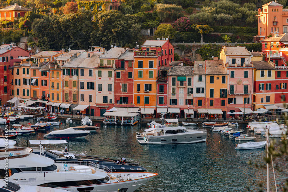 Liguria, Italy, Europe.  View from above over beautiful Portofino with colorful houses and villas,  in little bay harbor.