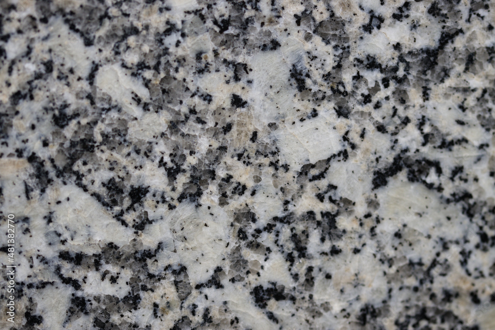 Close-up of a gray granite slab containing quartz, feldspar, and mica Close-up of a gray granite slab containing quartz, feldspar, and mica