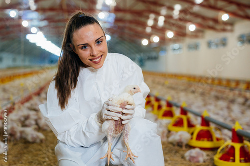 Obraz na plátně woman veterinarian inspecting poultry in chicken farm