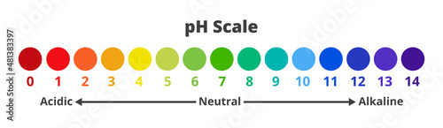 Vector chemical illustration of pH scale for a measure of how acidic or basic solution is.  Ph scale value test with the range from 0 to 14 isolated on a white background. Acidic, neutral, alkaline.