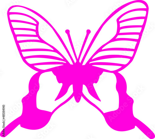 illustration of a butterfly