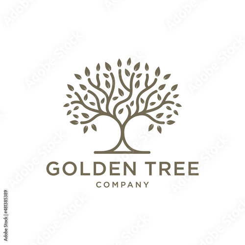 Golden Tree Oak Banyan Maple Emblem logo design vector template