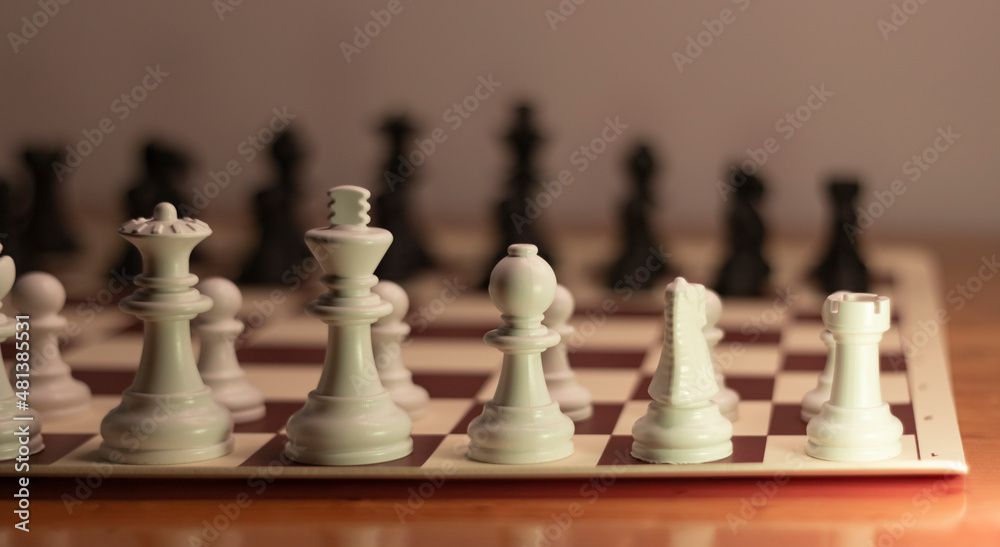 Chess pieces on the chessboard : King, quenn, bishop, horse and pawns. The focus is on white ones, black ones are flu.