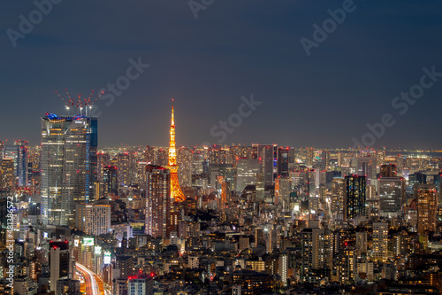 Fototapeta Naklejka Na Ścianę i Meble -  東京都渋谷区にある高層ビルから見た東京の夜の都市景観