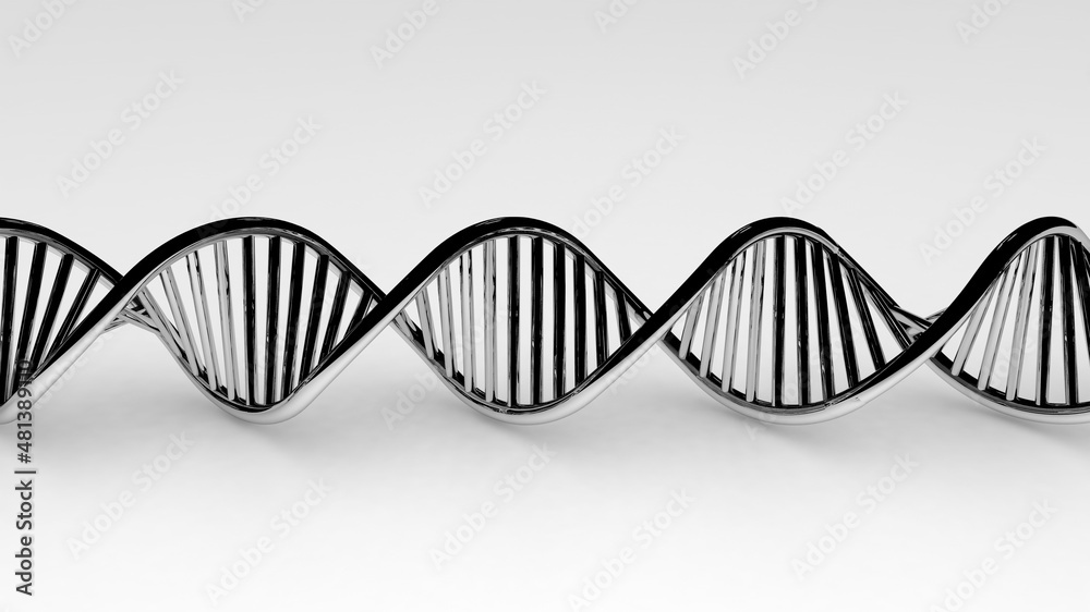 DNA model metal chrome on white background DNA model metal chrome on white background