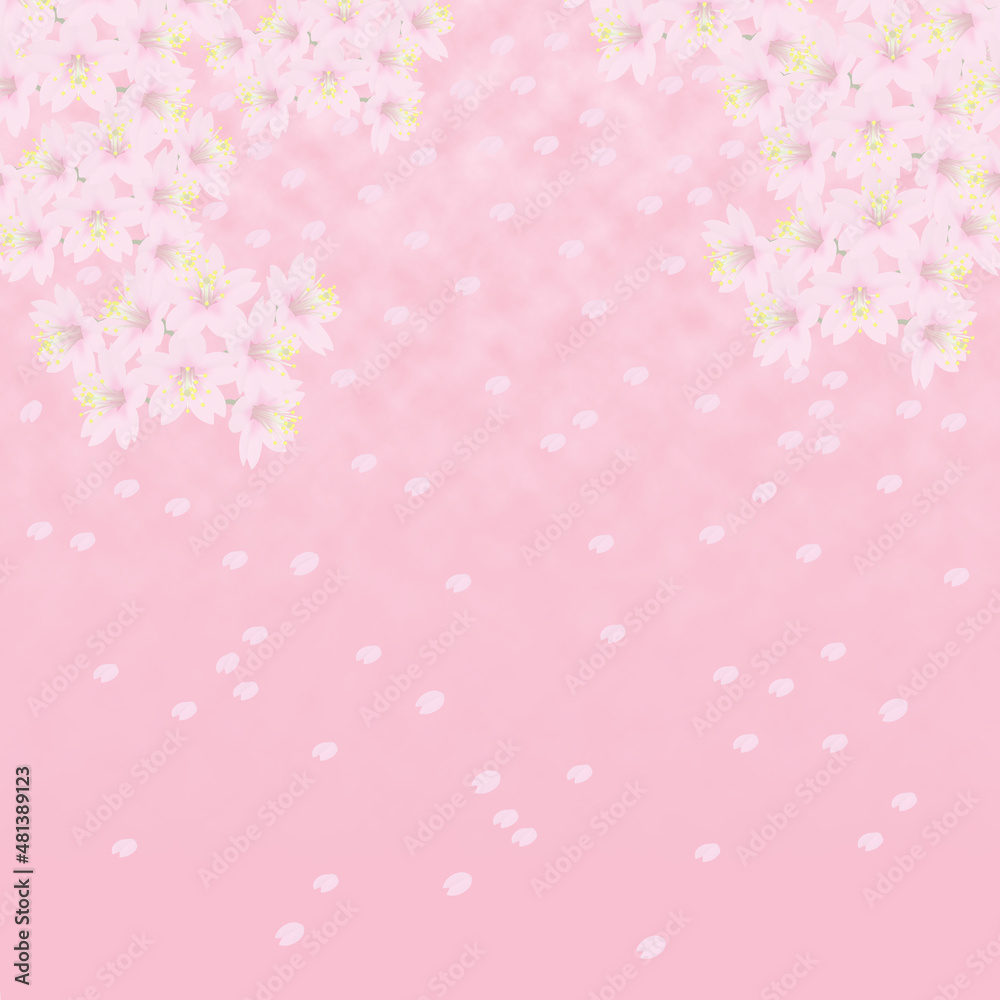 背景イメージ素材　満開の桜と花びら（4）