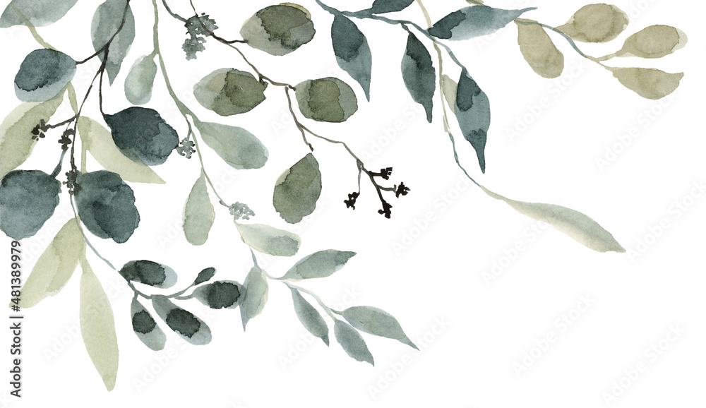 Watercolor Eucalyptus Leaves isolated on white background, Hand painted
