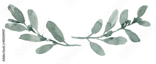 Watercolor Eucalyptus Leaves Border Frame isolated on white background, hand painting
