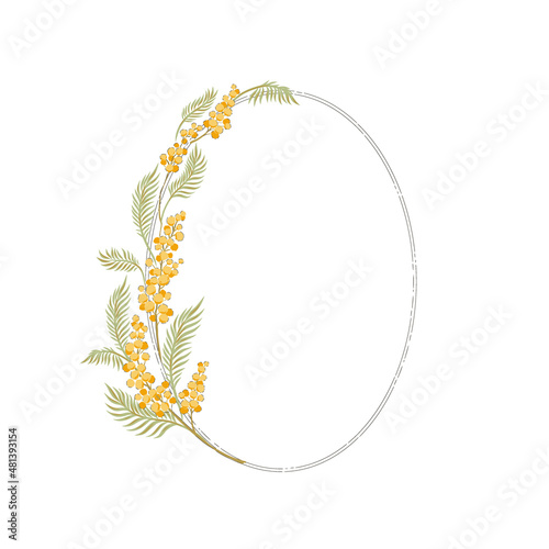 Mimosa hand drawn flower frame vector illustration isolated on white. Vintage Romantic spring floral oval frame. Botanical floral arrangement for Happy Easter design.