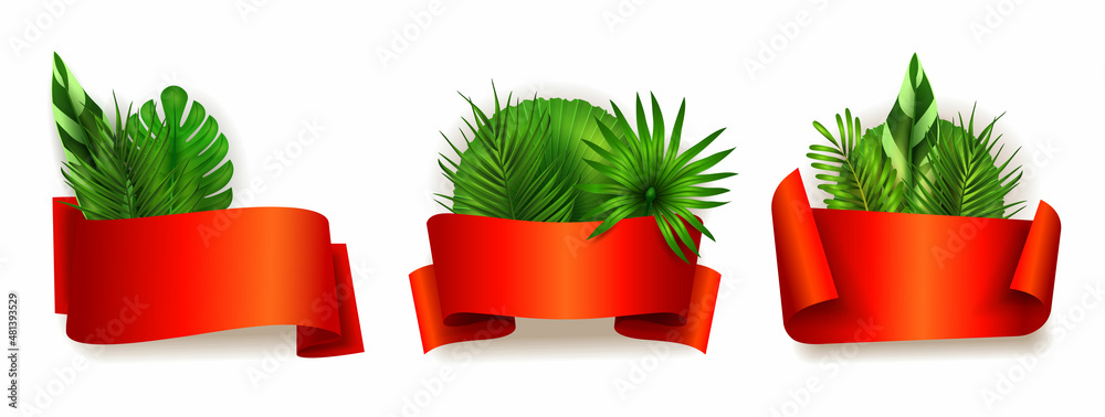 Set of curled tapes, banners with exotical leaves Set of curled tapes, banners with exotical leaves