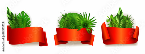 Set of curled tapes, banners with exotical leaves