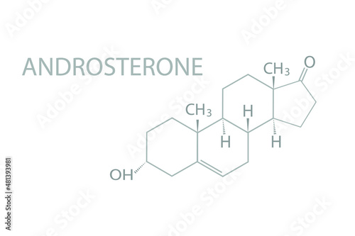 Androsterone molecular skeletal chemical formula.	 photo