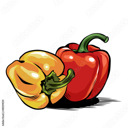 Fresh whole sweet peppers on a white background. Juicy vegetables in a realistic style. Hand drawn Vector illustration.