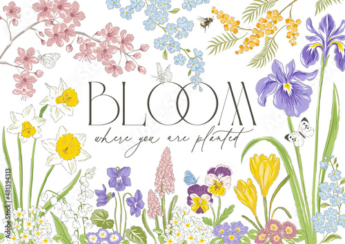 Spring blossom flower butterfly hand drawn vector illustration. Bloom where you are planted phrase. Vintage delicate romantic nature print poster card.