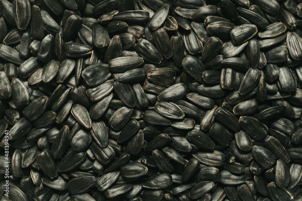 Sunflower seeds close-up. Dark background. A healthy snack. Sunflower seeds close-up. Dark background. A healthy snack.