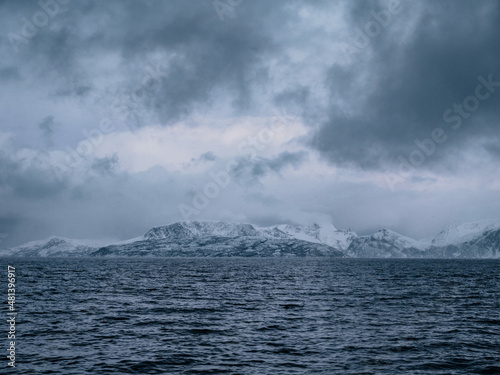 Orca watching in northern Norway above the arctic circle in Winter