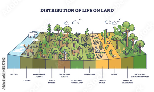 Distribution of life on land with geographical climate zones outline diagram. Labeled educational categories division system for natural habitat zoning vector illustration. Earth vegetation scheme. photo