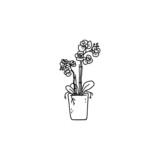 phalaenopsis with flowers houseplant. Indoor potted plant vector outline black and white doodle illustration.