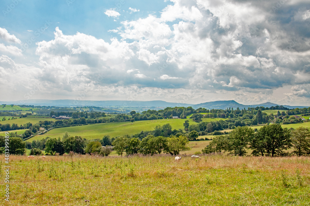 Fototapeta premium Summertime hills in Wales.