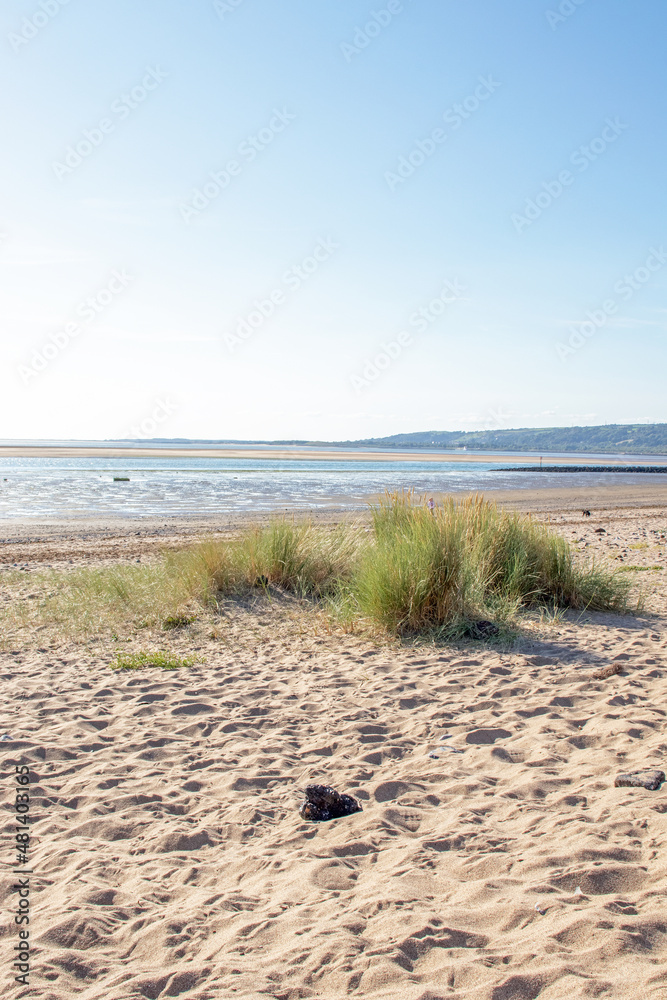 Obraz premium Sand dunes on the beach