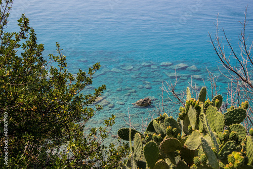 Mare riviera dei cedri photo