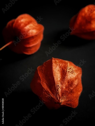 Pattern of physalis lantern on black background with selective focus 
