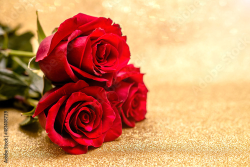 Red rose on a shiny gold background 