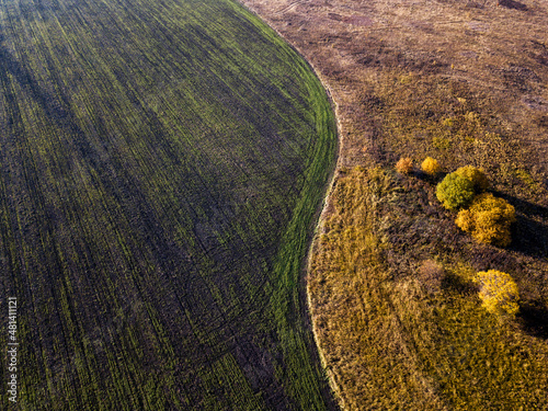 Ploughed fields and autumn trees, october, Russia, Tulskaya oblast', aerial view  photo