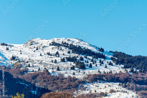 Beautiful Winter Snowy  Mountain Landscape with Pine Trees from Bulgaria ,Vitosha  Mountain © boryanam