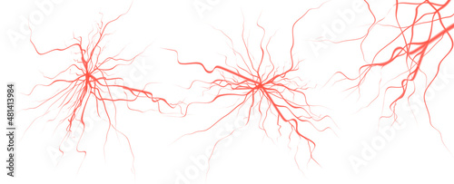 3d realistic vector icon set. Human blood system, blood elements veins.