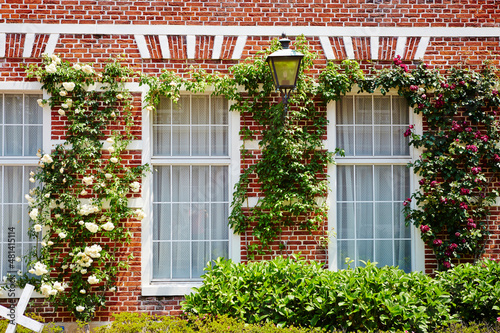 Garden and flowers by the well-maintained window