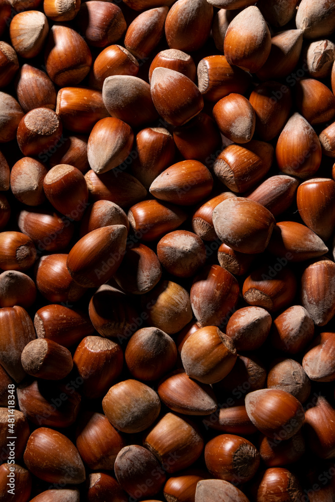 Close up of whole hazelnuts, protein rich ingredients, healthy eating concept Close up of whole hazelnuts, protein rich ingredients, healthy eating concept