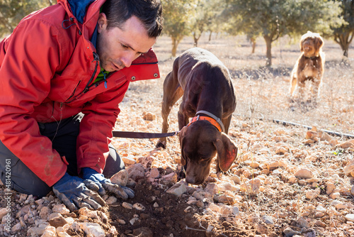 Photography Male farmer working with his dogs in black truffle hunting.