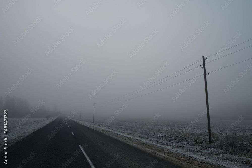 Fototapeta premium empty road on a foggy cold day with electicity poll