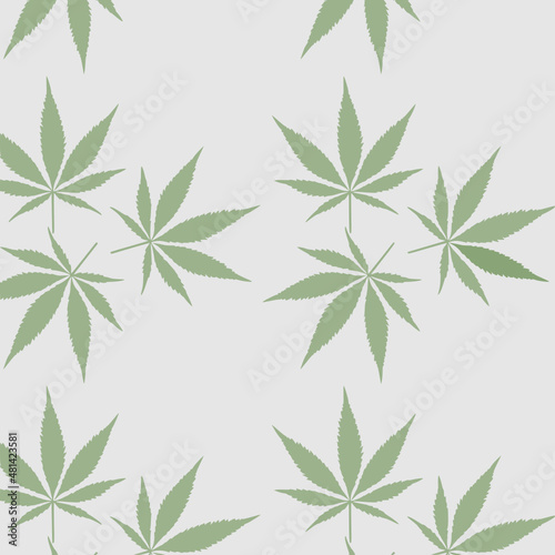 cannabis leaves  color 