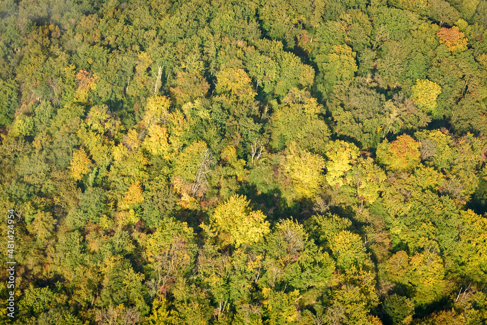 vue aérienne de la forêt à Port-Mort dans l'Eure en France