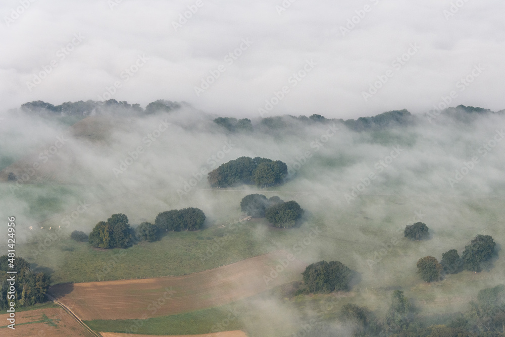 vue aérienne d'arbres dans la brume à Vatteville dans l'Eure en France