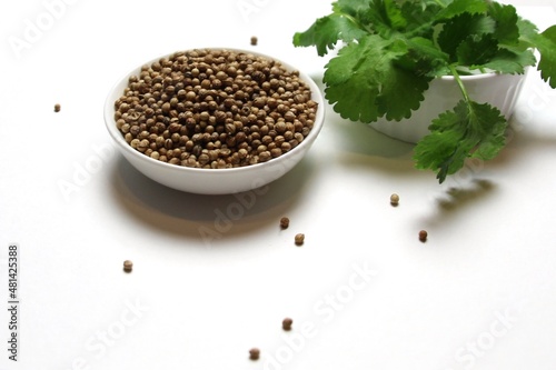 dry seeds of coriander in a bowl and green leaves of chilantro on white background