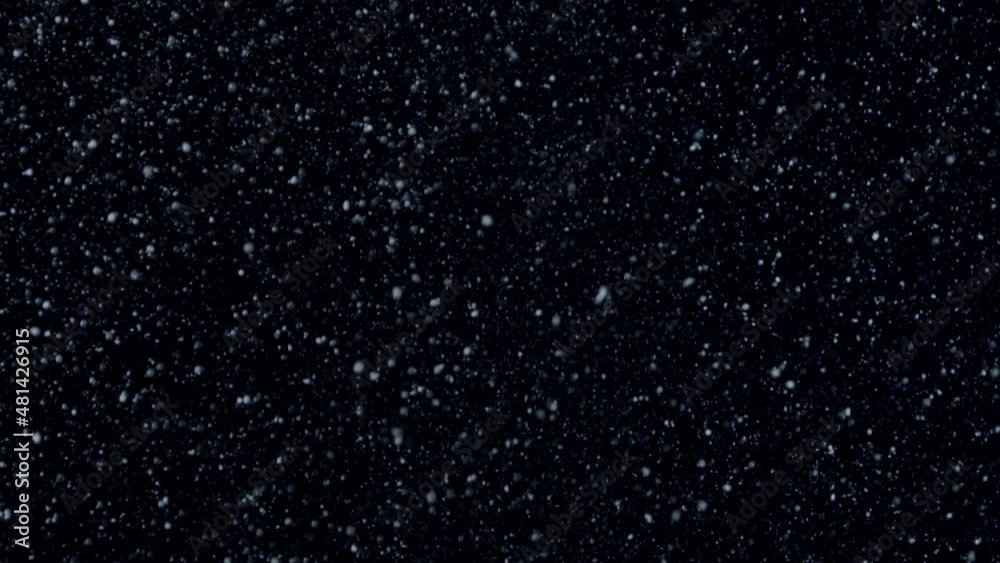 Falling natural snowflakes isolated on a black background, a lot of falling chaotic snow. Falling natural snowflakes isolated on a black background, a lot of falling chaotic snow.