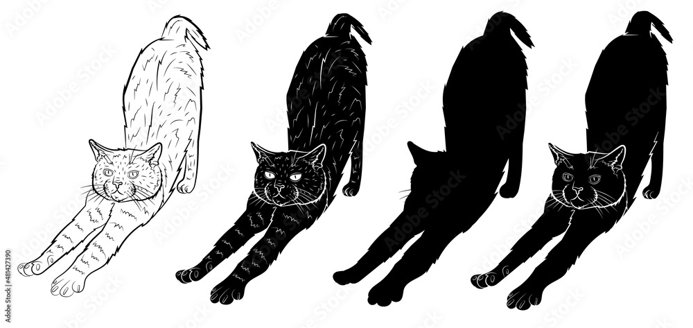 Realistic cat stretches in isolate on white background. Vector graphics. Realistic cat stretches in isolate on white background. Vector graphics.
