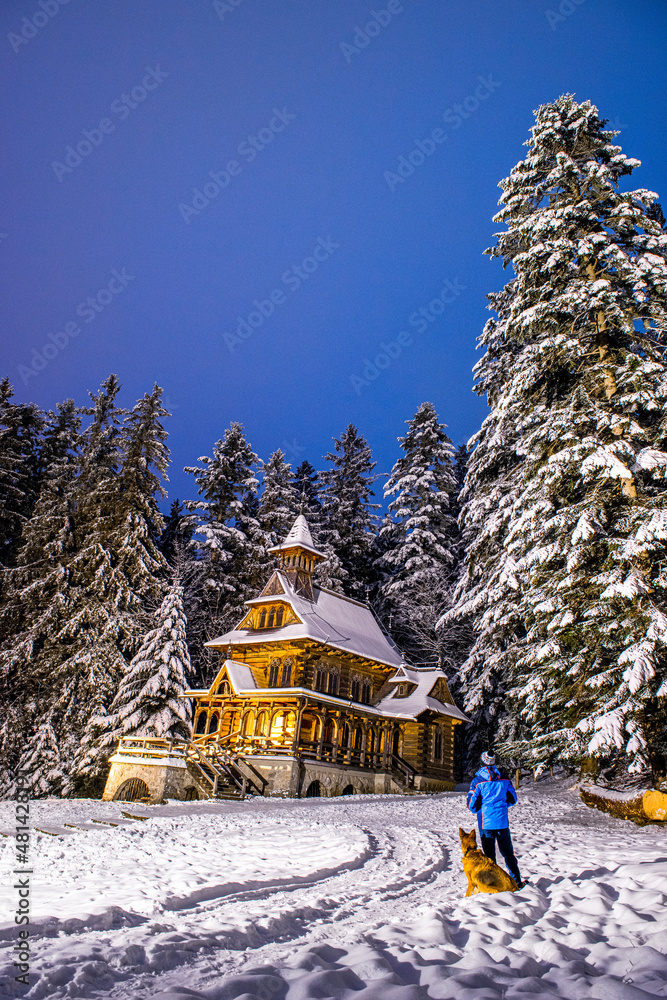  Man and Dog in Forest at Snowy Winter in Zakopane - obrazy, fototapety, plakaty 