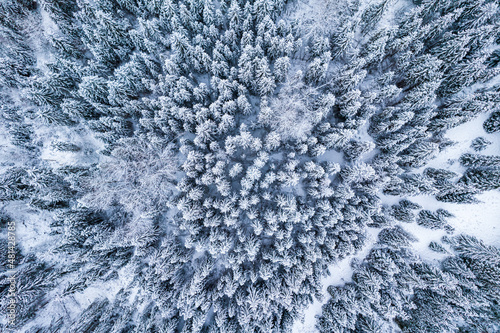 Snow Covered Spruce Trees at Winter. Drone Aerial View © marcin jucha