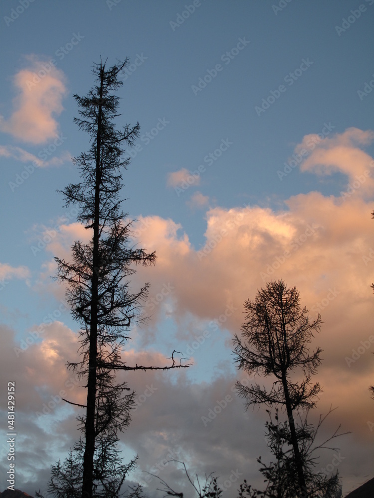 Beautiful landscape of Altay region, Russia Beautiful landscape of Altay region, Russia