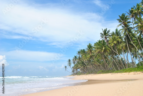 Fototapeta Naklejka Na Ścianę i Meble -  Beach, sea, palm trees, ocean. Sri Lanka. Blue lagoon. Beautiful beach.