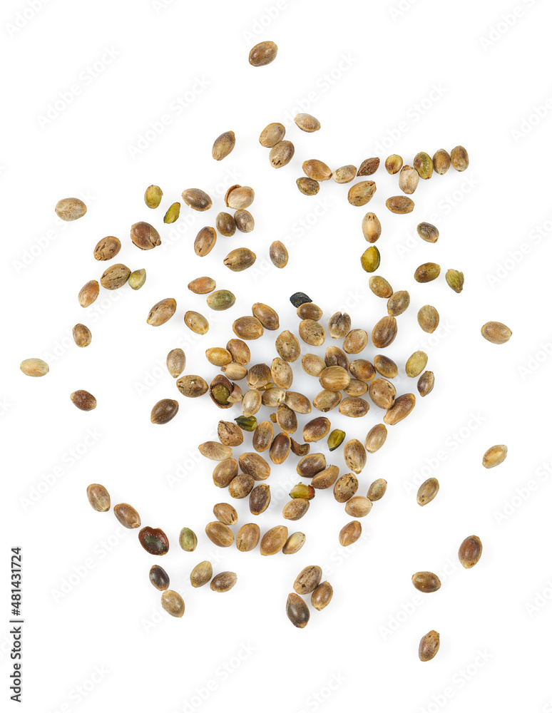 hemp seed isolated on white background hemp seed isolated on white background