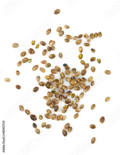 hemp seed isolated on white background