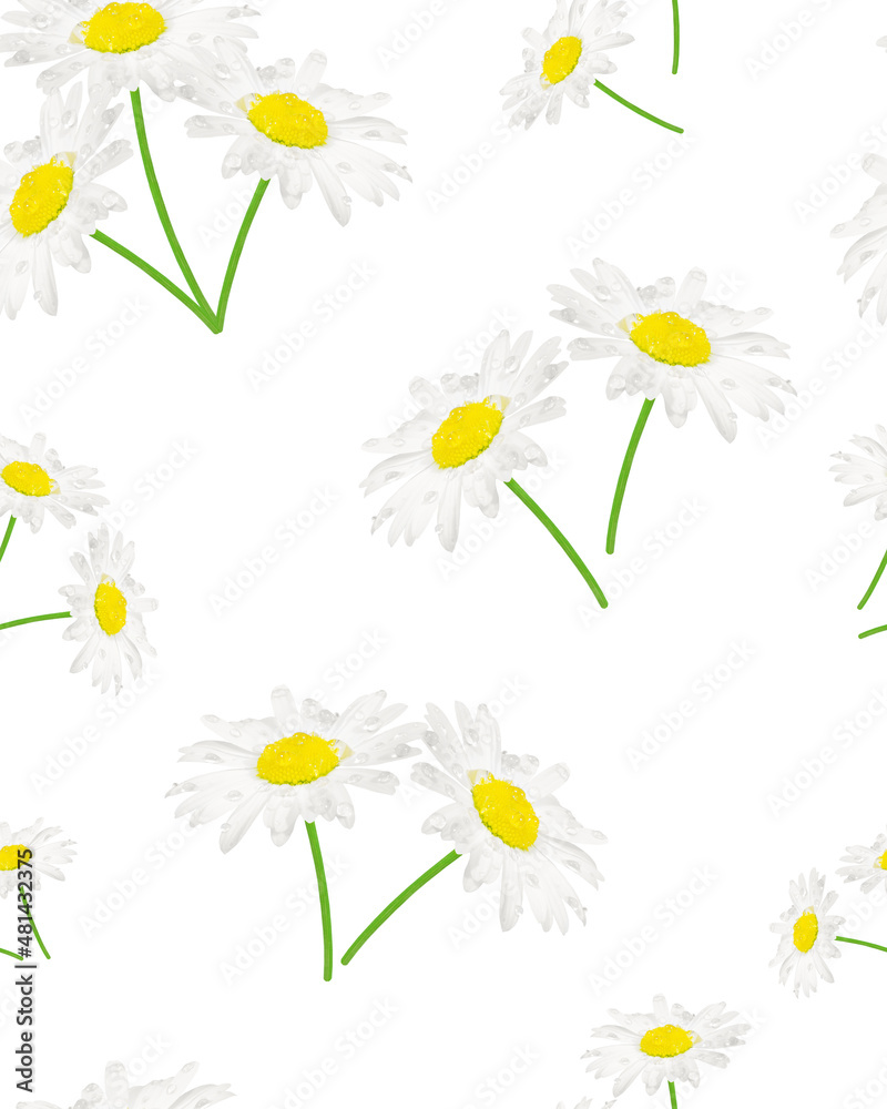 Seamless pattern of daisies and on a white background